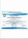 Сертификат участника РМО с презентацией "изготовление радиоуправляемой легоплатформы"